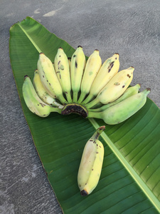 栽培的香蕉 泰国香蕉和绿色的香蕉叶