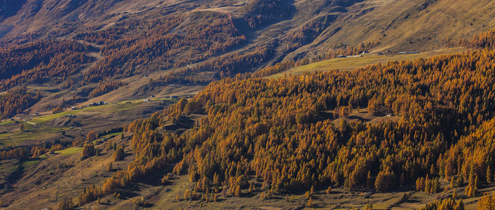 在奥斯塔山谷信箱的秋景图片