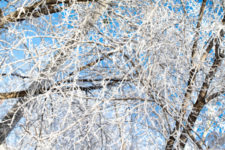 白雪皑皑的冬天风景