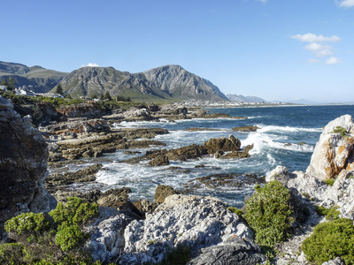 海岸线在 Fernkloof 自然保护区