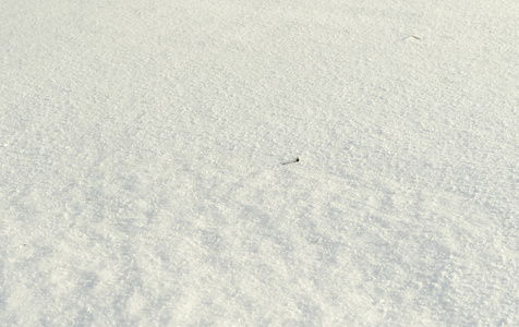 白雪皑皑的冬天风景