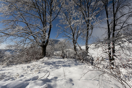 冬季时间在山中