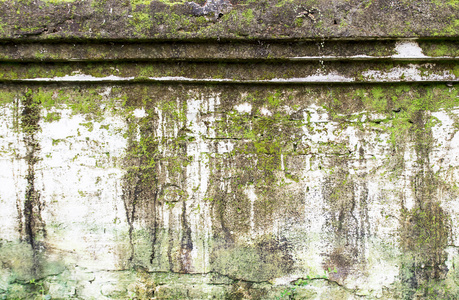 绿色旧的水泥墙上的青苔