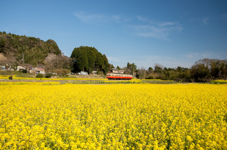 小凑铁路，千叶市 州 日本旅游