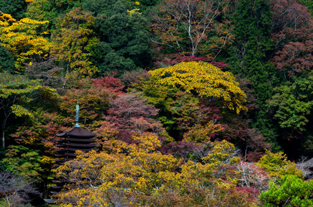 湛山寺 奈良 县 日本传统寺庙和神社