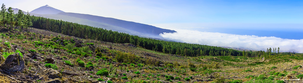 特内里费岛的泰德火山景观