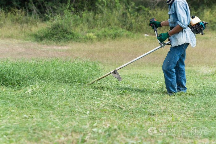 工人们正在割草