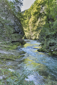 Vintgar 峡谷 木栈道和 Radovna 河。布莱德斯洛文尼亚