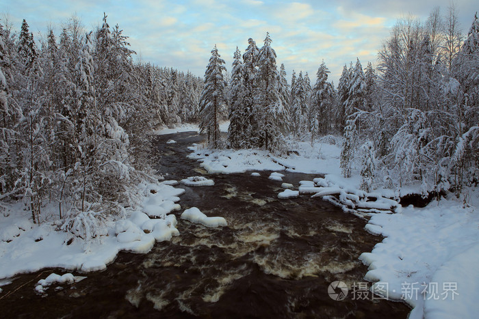 冬天森林里的河不冻