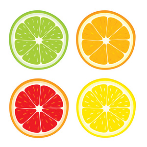 向量组的柠檬，橙，石灰，葡萄柚片在白色背景上
