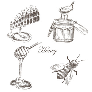矢量蜂蜜 honeycells honeystick 蜜蜂插图。详细的手的自然对象的素描画