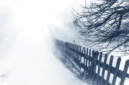 美丽的冬天风景与雪覆盖的树木