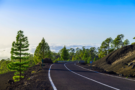 特内里费岛上道路景观