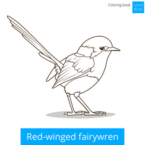 红翅 fairywren 鸟着色书矢量