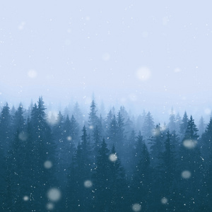 冬季松林与雪