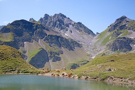 在瑞士的阿尔卑斯山徒步旅行