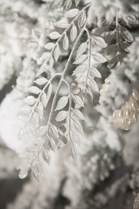 冷杉的枝条，密密麻麻的雪白色的圣诞装饰