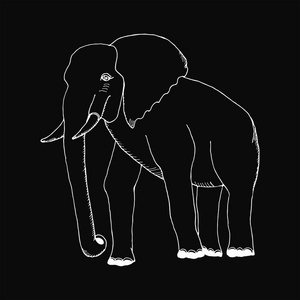 单色的手画出一只大象