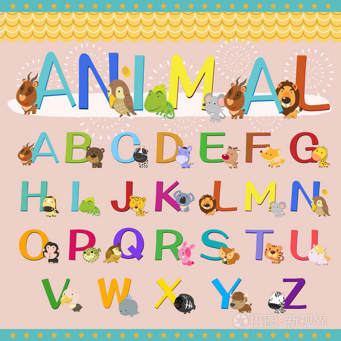 动物字母表集合