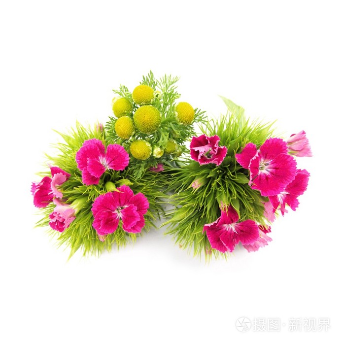 红色花束照片 正版商用图片1kxrbm 摄图新视界