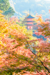 德拉寺在京都清水