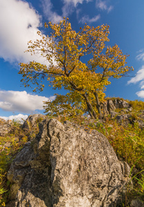 岩石和俄罗斯南部的山脉