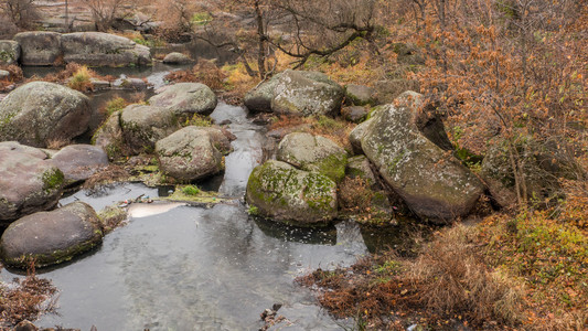 秋天的风景。乌克兰。波列西耶