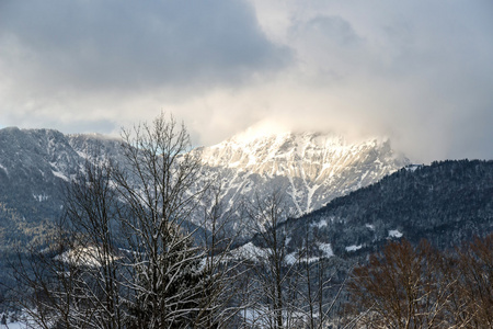 在 Rossfeld 全景路附近 Berchtesgade 冬季景观