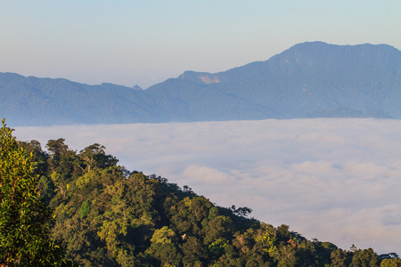 雾和云山山谷风景