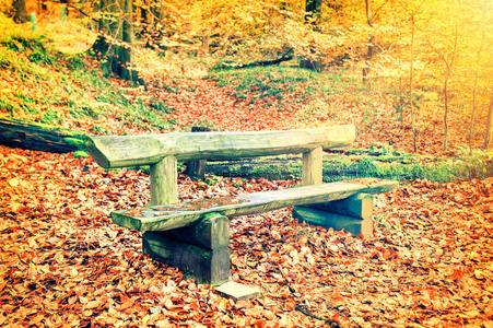 孤独的木凳上，在秋天的树林