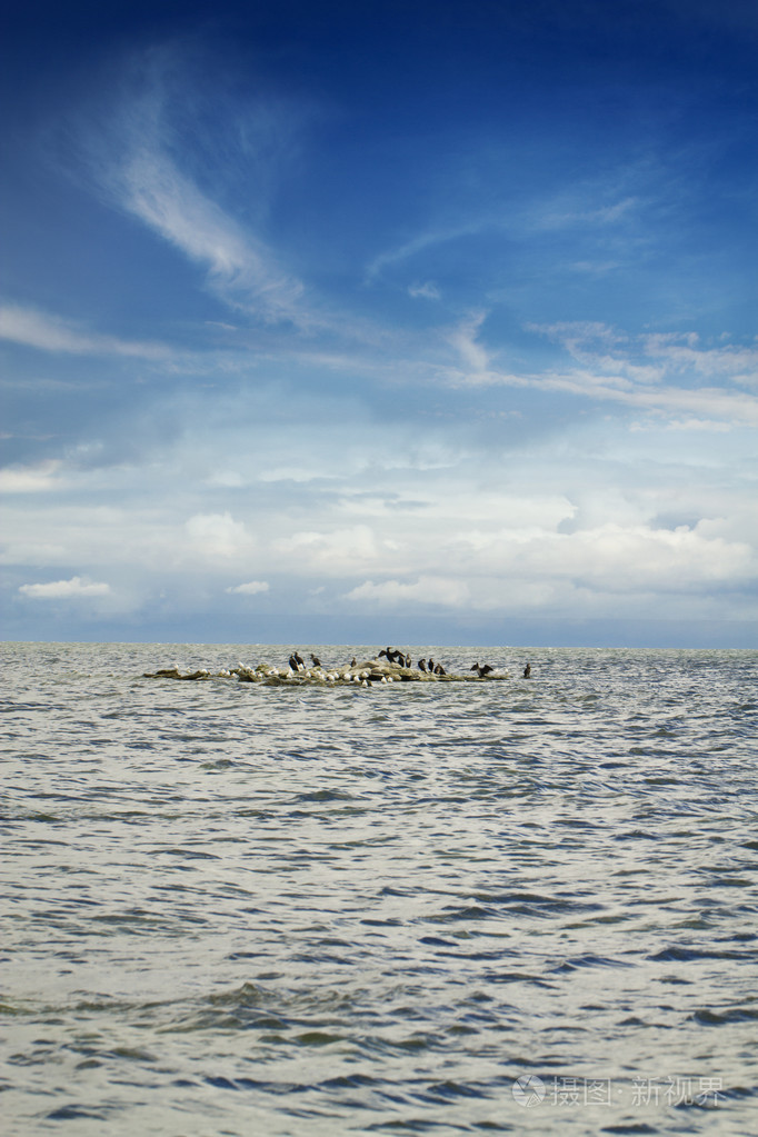 大海里的石头.夏日风景