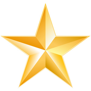 金星级标志图标说明照片