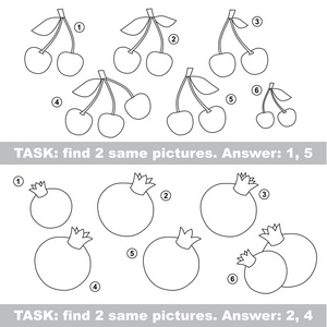 视觉的游戏。找到隐藏几个樱桃和石榴