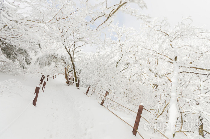在韩国山冬季景观白色雪