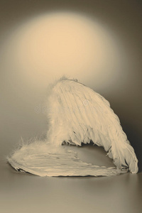 天使的翅膀在白色的背景上发光
