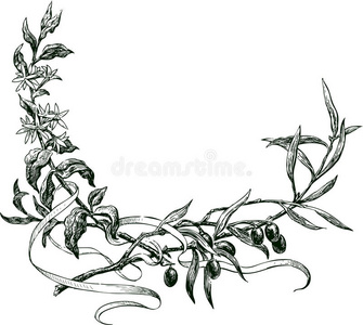 花分支两个蓝雀吹口哨开花的分支,cyanistes caerule手绘的水彩插图的