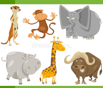 野生动物卡通套装插图