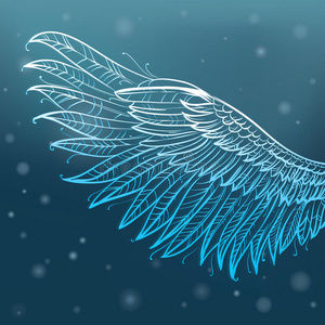 天使之翼,矢量图照片