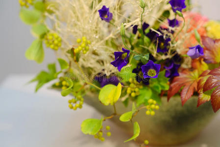 池袋图片 池袋素材 池袋插画 摄图新视界