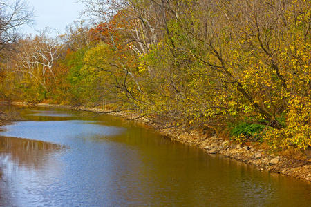 秋天运河沿岸的树木枝繁叶茂。