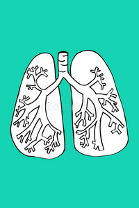 解剖肺手绘素描照片