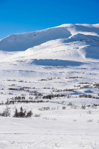 阳光明媚的瑞典山峦下着大雪
