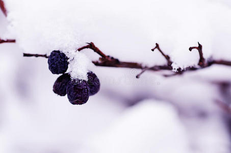 雪下