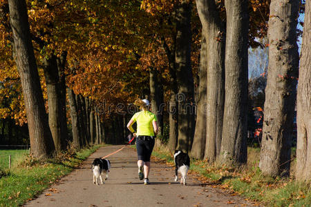 一个女人带着两只狗在乡间小路上奔跑