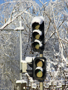 红绿灯下雪
