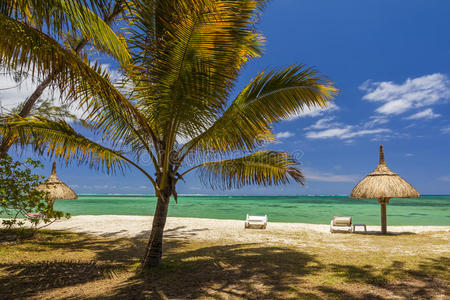 热带岛屿的海岸，有棕榈树和白沙。