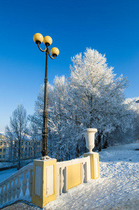 美丽的城市公园，树木覆盖着白霜