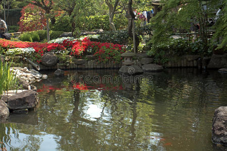 日本镰仓市hase dera kannon