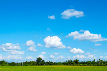 碧绿的草地和湛蓝的天空