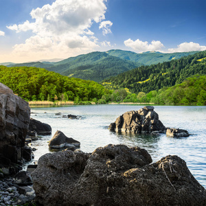 山上森林旁的湖岸有石头